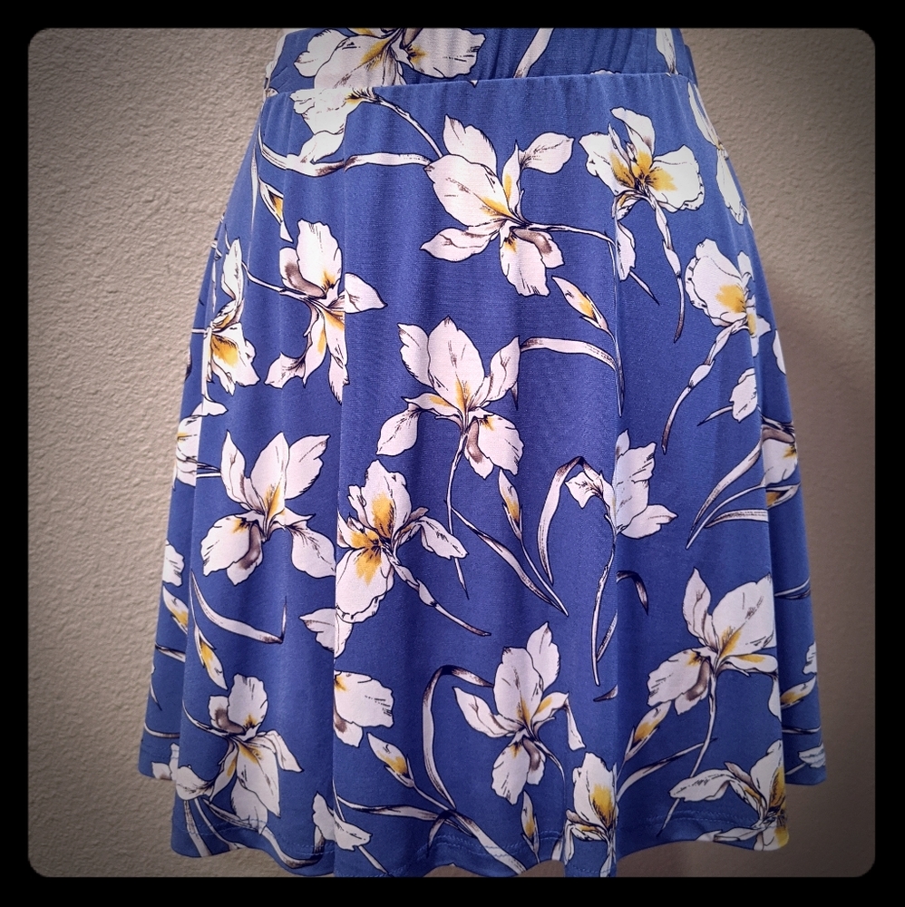 Stitch Fix Skirt